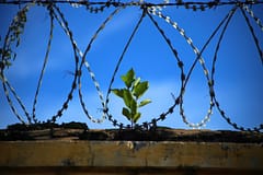 Fuga de Vale de Judeus resulta de desinvestimento e falta de efetivos