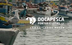 Docapesca concretiza recorde de 11,2 ME de investimento em 2023