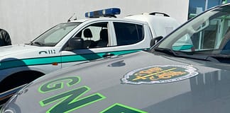 Autoridades lançam campanha de sensibilização “Ao volante, o telemóvel pode esperar”