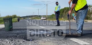 Contabilizadas 460 vítimas mortais nas estradas portuguesas desde início do ano