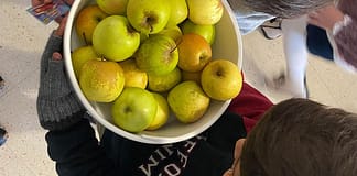 ‘Regime da Fruta Escolar’ chegou a Óbidos