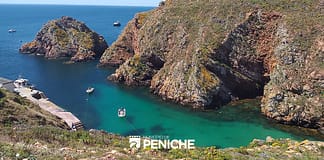 Captura de percebes nas Berlengas vai ser mais controlada