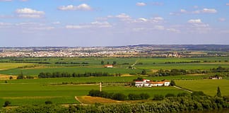 Almeirim: Projeto convida empresários a empregarem jovens nas férias escolares