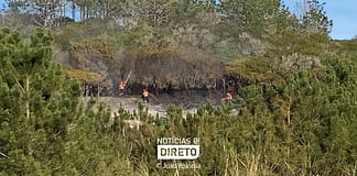 Incêndios: Região de Leiria preocupada com ausência de informação sobre Carta de Perigosidade