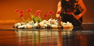 Torres Vedras: Companhia de Ballet de Niterói apresenta espectáculo no Teatro-Cine