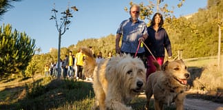 Óbidos: Caminhada com ‘Afeto’ do ‘Amigo Especial’