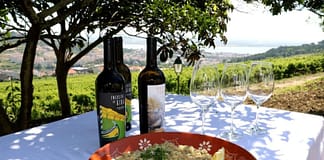 Vila Franca de Xira acolhe festival gastronómico do sável em março