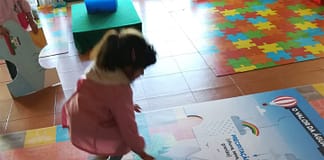 Dia Mundial da Água inspira atividades de sensibilização nas escolas de Óbidos