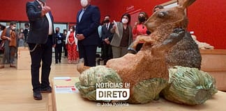 Concursos para diretores de Museus e Monumentos de Portugal abrem até junho de 2024