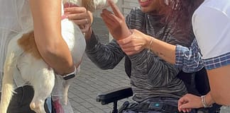 Câmara Municipal de Vila Franca de Xira lança novo projeto “Dá-me a tua pata, dou-te a minha mão”