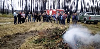 Marinha Grande: Proteção Civil sensibiliza para prevenção de incêndios
