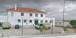 Reclusos de Torres Novas cuidam de horta vertical em projeto solidário