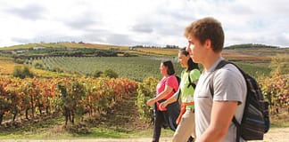 Torres Vedras: Município quer reduzir sazonalidade do turismo