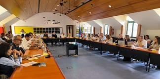 Autarcas dizem que lei das novas comunidades intermunicipais é inconstitucional