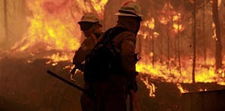 Incêndios: “Nacionalização” do Fundo Revita é inaceitável e repugnante – PSD