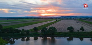 Almeirim: Festival Entre Quintas junta música e enologia até 09 de julho