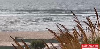 Quatro distritos e Madeira sob aviso amarelo por causa do vento e calor