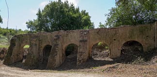 Óbidos: Desmatação da vegetação envolvente ao Aqueduto da Usseira