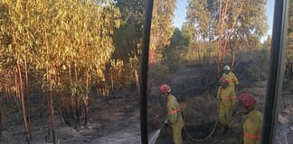 Incêndios: Mais de 140 operacionais e seis meios aéreos combatem fogo na Serra de Montejunto