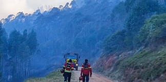 Incêndios: Dominado fogo na serra de Montejunto