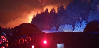 Incêndios: Homem condenado a cinco anos e meio de prisão efetiva