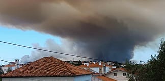 Incêndios: Fogo em Ourém lavra com alguma violência às 19:00