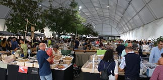 Torres Novas: Feira Nacional dos Frutos Secos abre inscrições para expositores