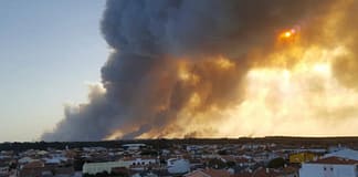 Pelo menos 26 corpos encontrados numa área incendiada na Grécia