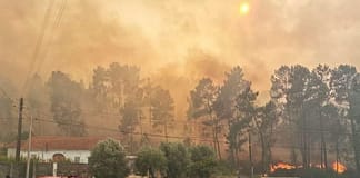 Incêndios: Fogo em Ourém com uma frente ativa mobiliza mais de 190 operacionais