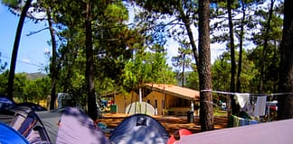 Incêndios: Parque de campismo “evacuado por precaução” em Odemira