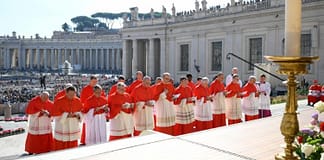 Papa diz que diversidade é indispensável mas deve concorrer para resultado comum