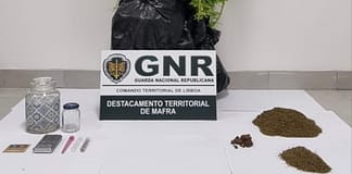 Mafra: Homem detido por cultivo e tráfico de droga