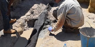 Encontrada na Zâmbia estrutura de madeira mais antiga do mundo com quase 500 mil anos