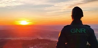 Rapaz de 16 anos detido em flagrante por crime de incêndio florestal em Leiria