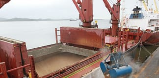 Ucrânia: Segundo cargueiro com toneladas de trigo ucraniano chega a Istambul