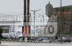 Mais de 12 toneladas de tubarão anequim apreendidas em Peniche