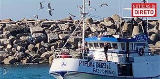 Pesca da sardinha reabre na próxima segunda-feira