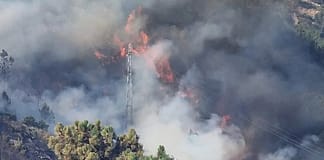 Incêndios: Mais de 60 concelhos de nove distritos em perigo máximo
