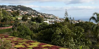 Madeira: Manuel António Correia acusa direção regional do PSD de manipulação para impedir internas