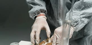 Mortes por overdose aumentaram 16% em 2023 e a cocaína é a principal responsável