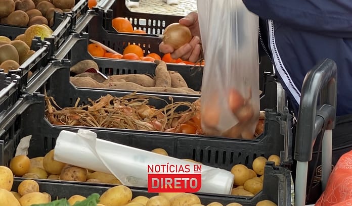 alimentação foto joao polonia noticias em direto