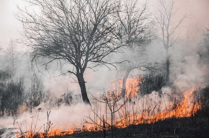 Incêndios Brasil